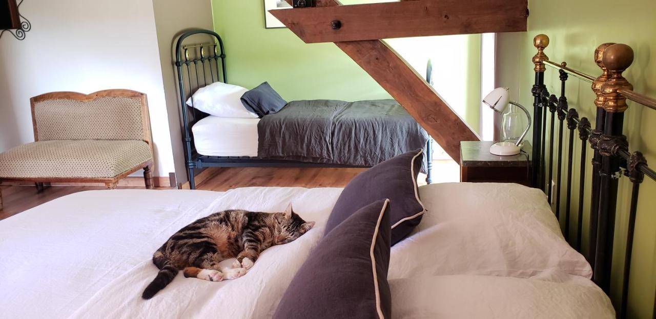 B&B La Ferme De Loubens מראה חיצוני תמונה