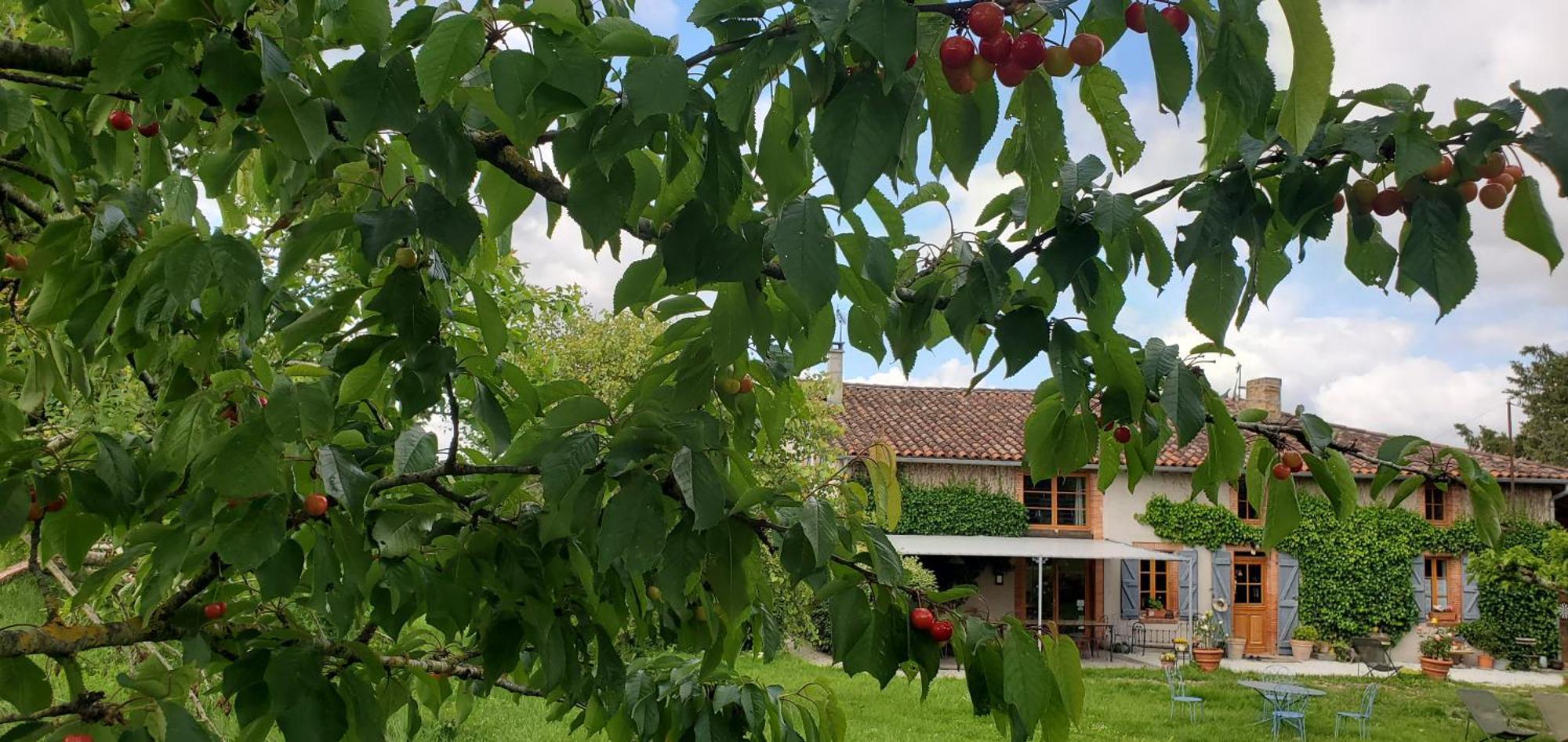 B&B La Ferme De Loubens מראה חיצוני תמונה